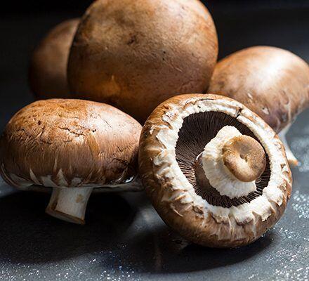 DF Mushrooms